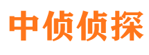 大东寻人公司